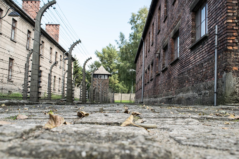Il Nazismo: riassunto dalle origini ai lager