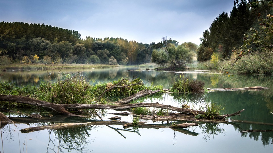Spiega la differenza tra portata e regime di un fiume
