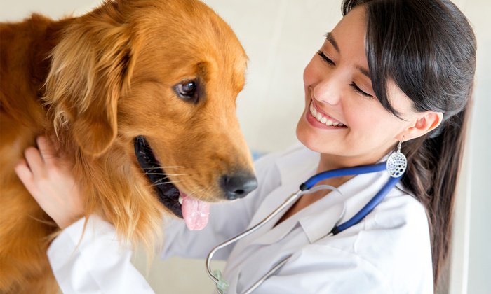 Risultati test veterinaria 2015
