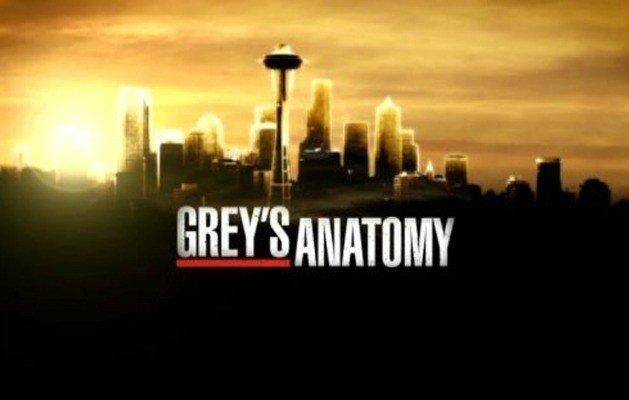 Grey's Anatomy 12: quando inizia e cosa aspettarsi