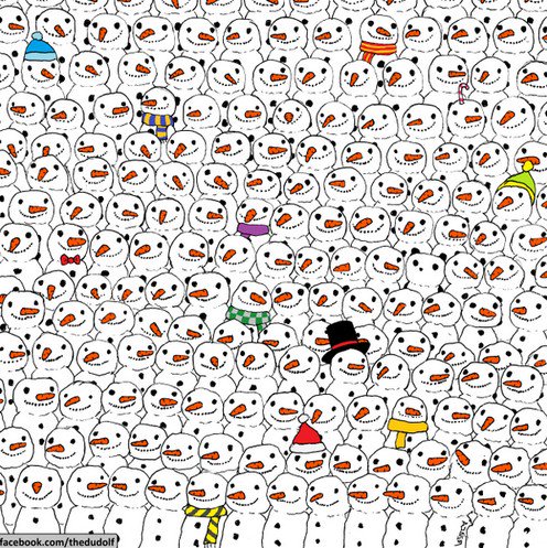 Dov'è il Panda? Il quiz fa impazzire il web