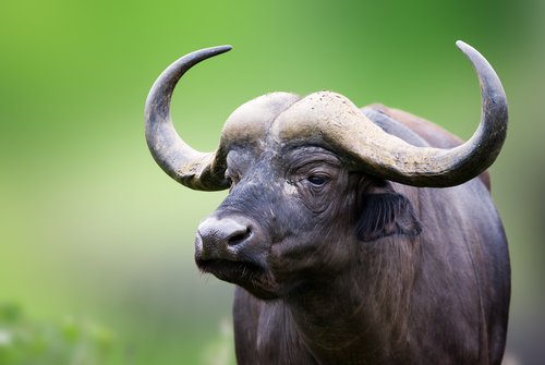 Siti di bufale: i peggiori del web
