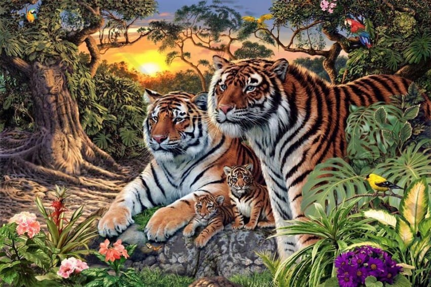 Quante tigri vedi in foto?