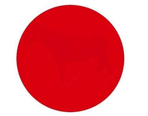 Questa non è la bandiera giapponese