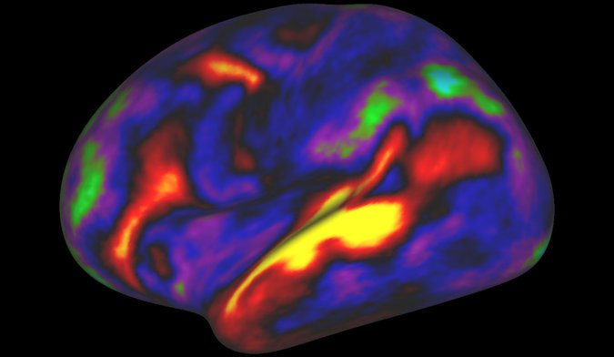 Ecco la mappa del cervello, forse è quella definitiva