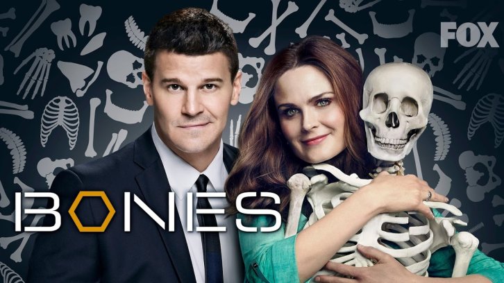 Bones: stagioni, trama e cast