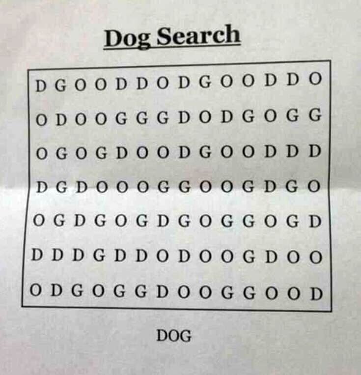 Vi sfidiamo a trovare la parola Dog