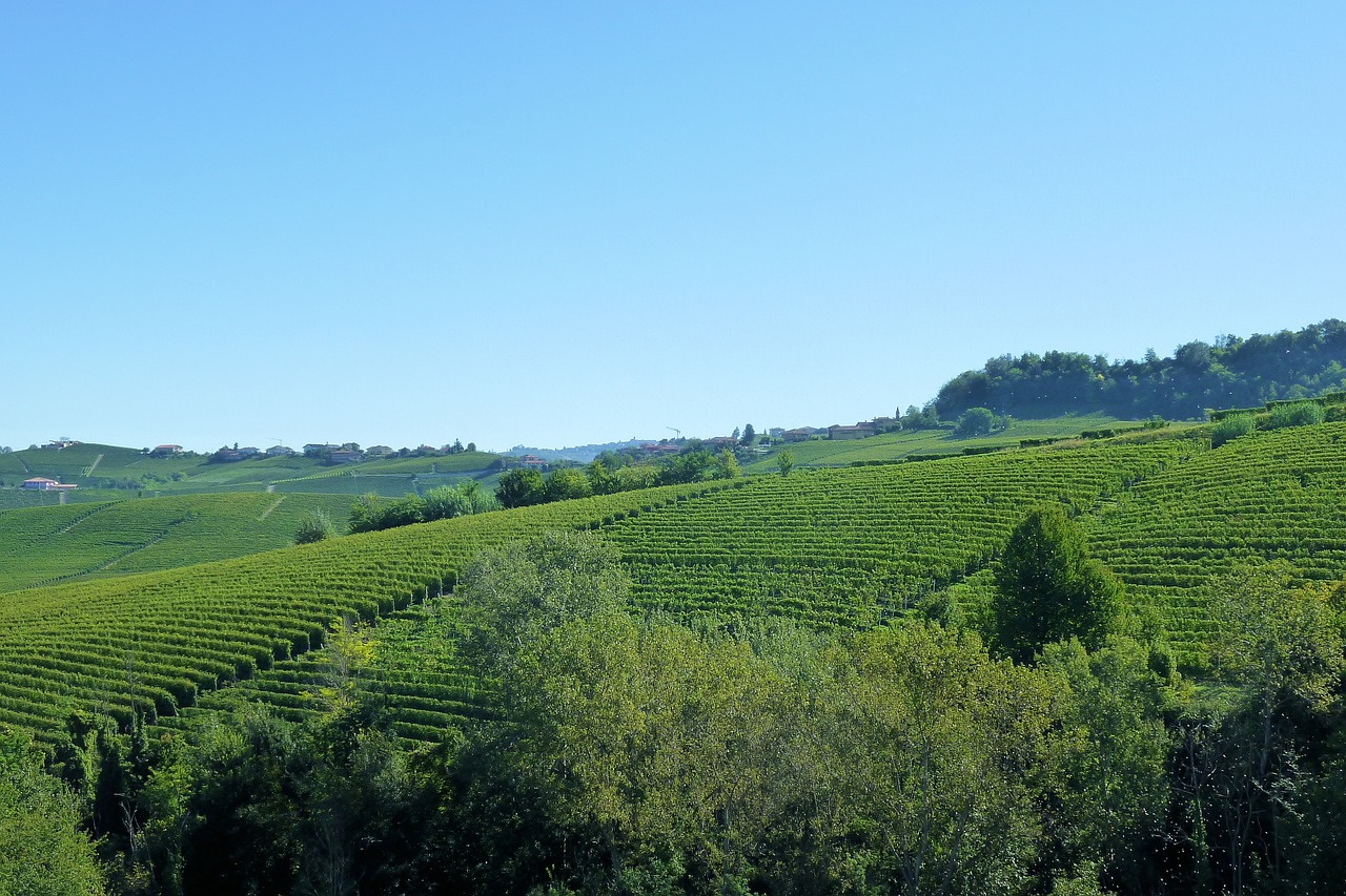 Langhe: 10 itinerari per scoprire le colline piemontesi