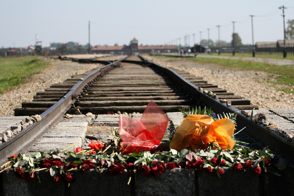 Temi svolti sulla Giornata della Memoria: tutte le tracce