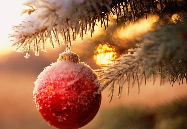 Tema svolto sul Natale