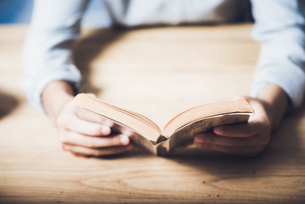 Relazione del libro L'amico ritrovato