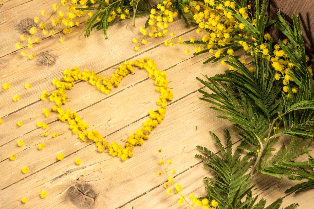 Tema sulla Festa della Donna: riflessioni sull'8 marzo