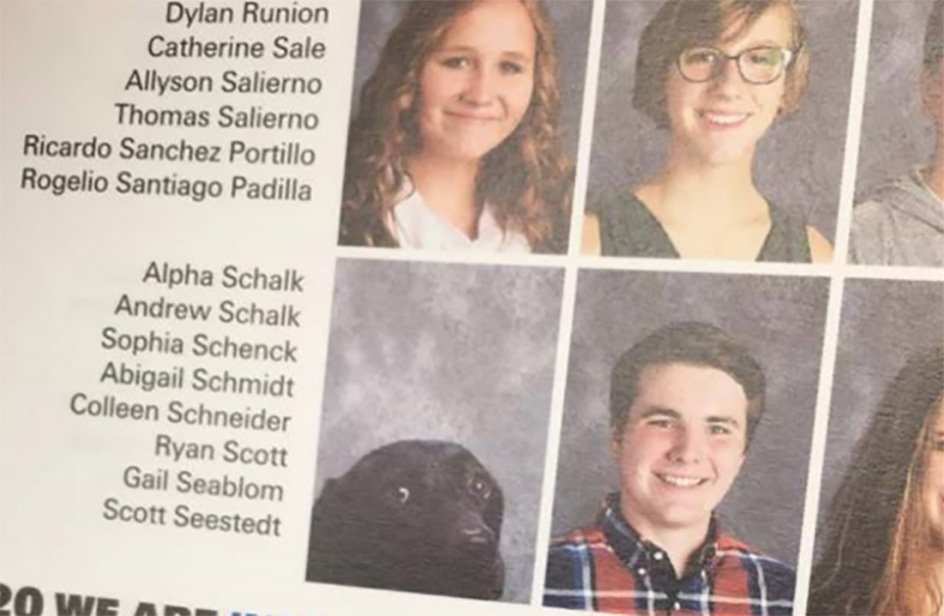 Sull'annuario scolastico spunta la foto di un cane