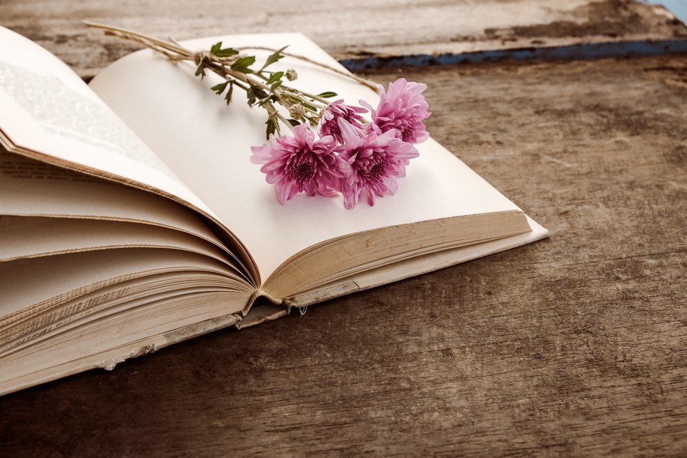 Alda Merini: biografia, opere e poesie