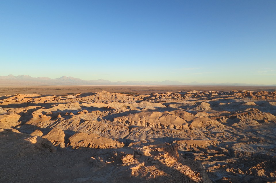 L'arido deserto di Atacama fiorisce: il risultato è straordinario