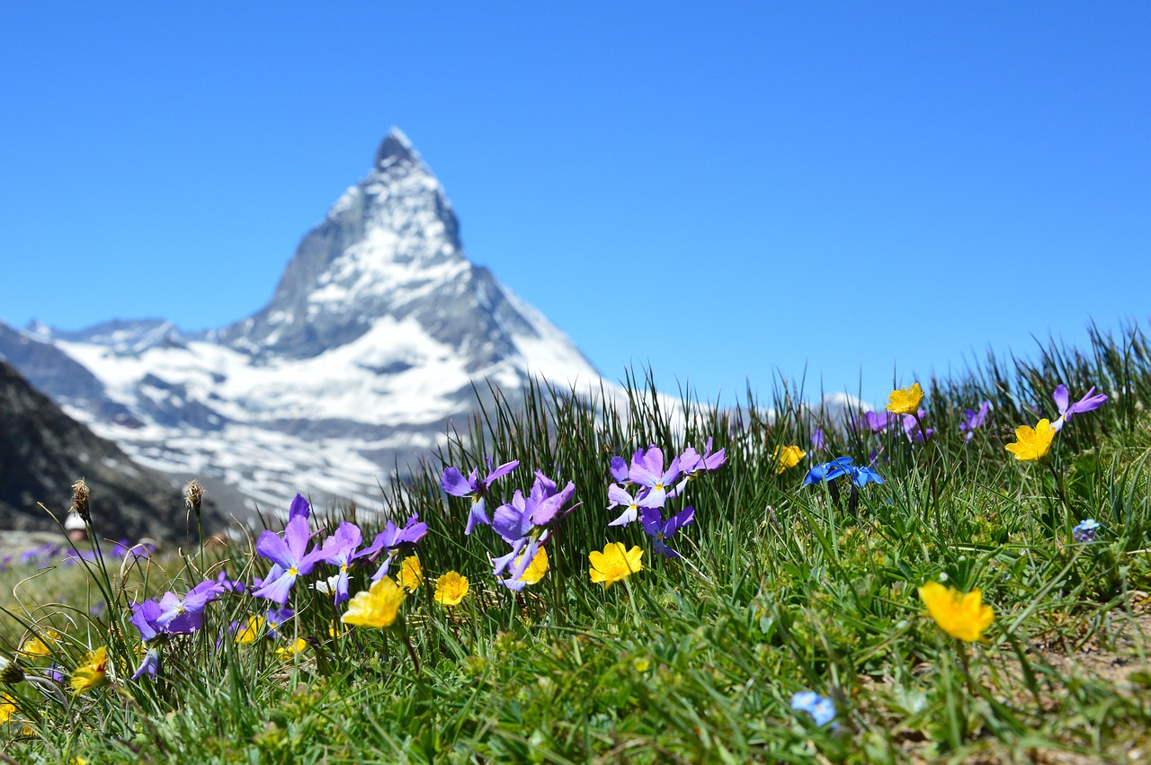 Tema svolto sulle vacanze estive in montagna