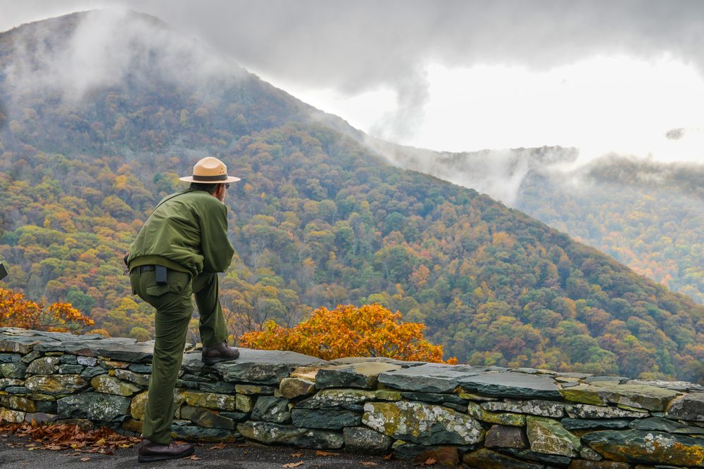 Come diventare guardia forestale: concorsi e gradi