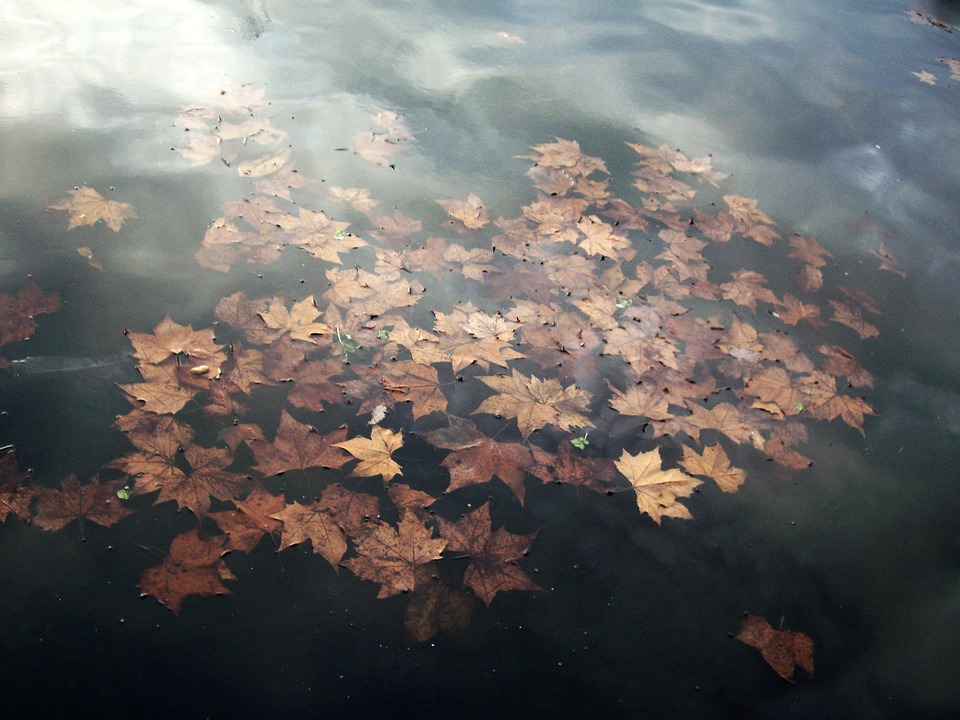Tema sull'autunno