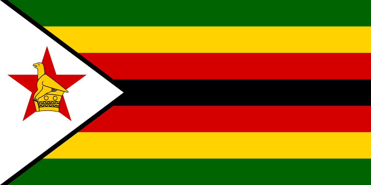Colpo di Stato in Zimbabwe: cosa succede