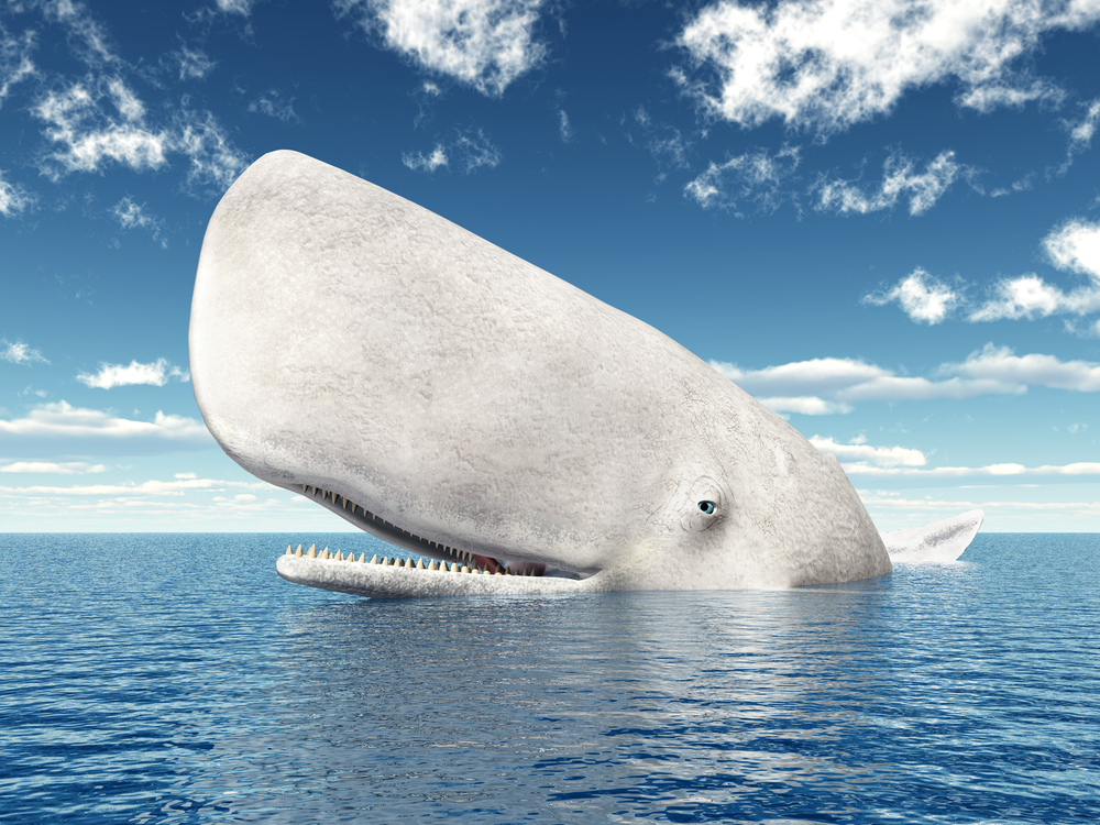 Moby Dick: riassunto e scheda libro