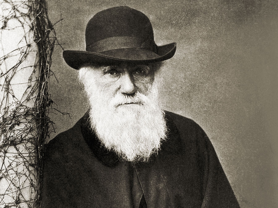 Charles Darwin: biografia e scoperte