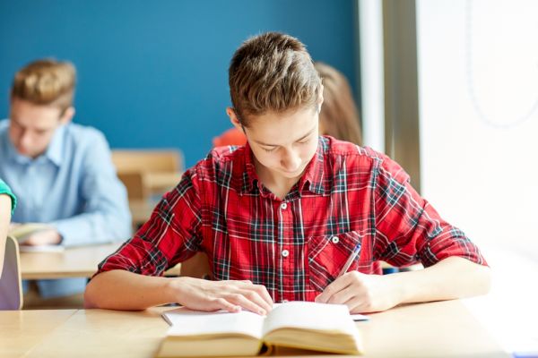 Test Invalsi Terza Media: domande e risposte