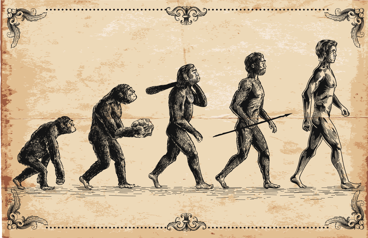 Evoluzione dell'Homo Sapiens: riassunto