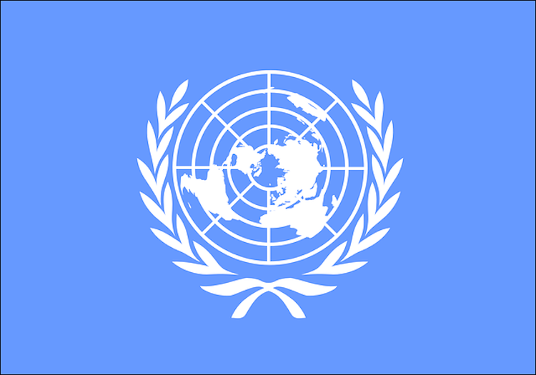ONU: cos'è, sede, bandiera e lingue ufficiali