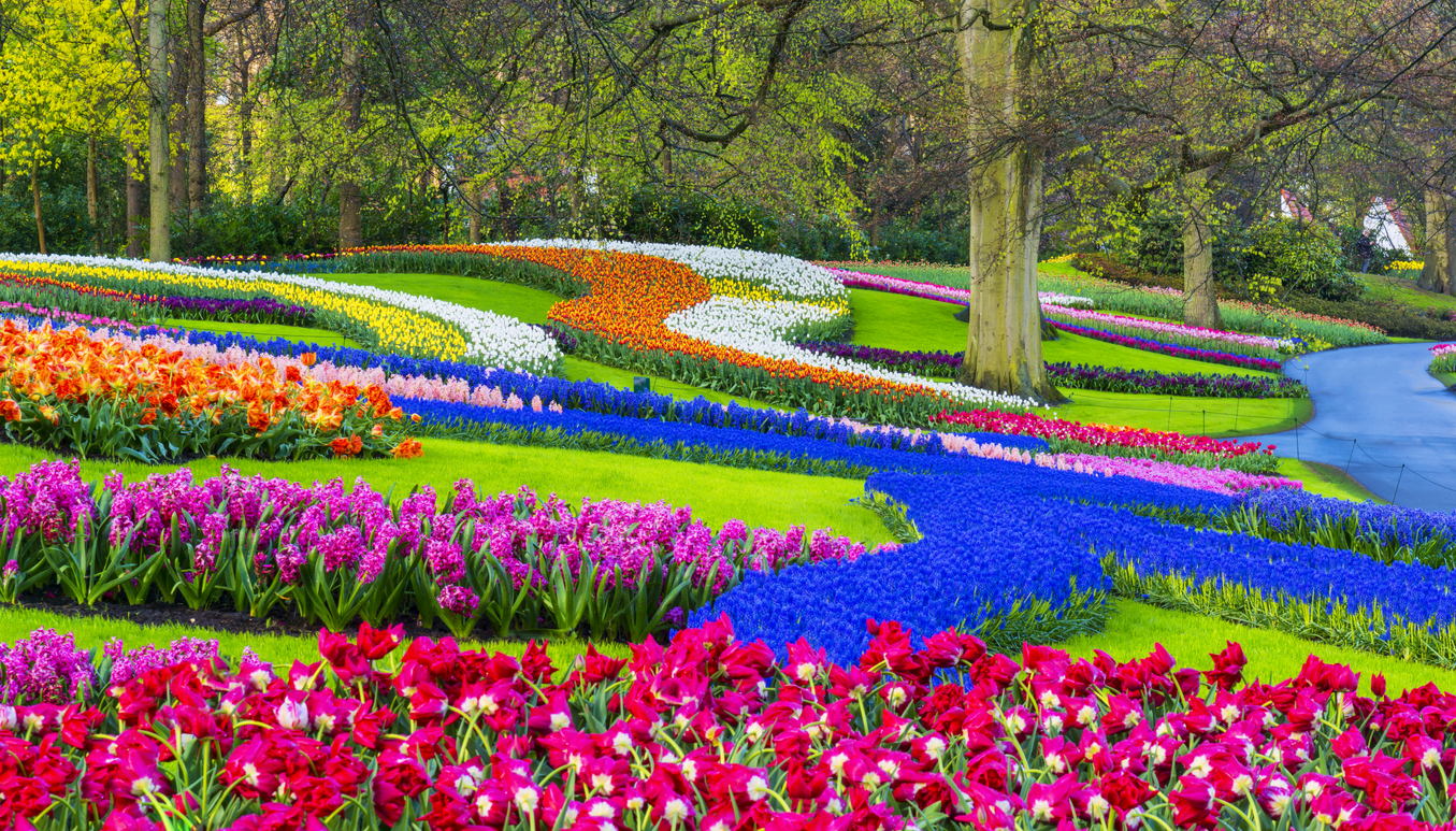 Keukenhof: periodo migliore, la visita e come arrivare