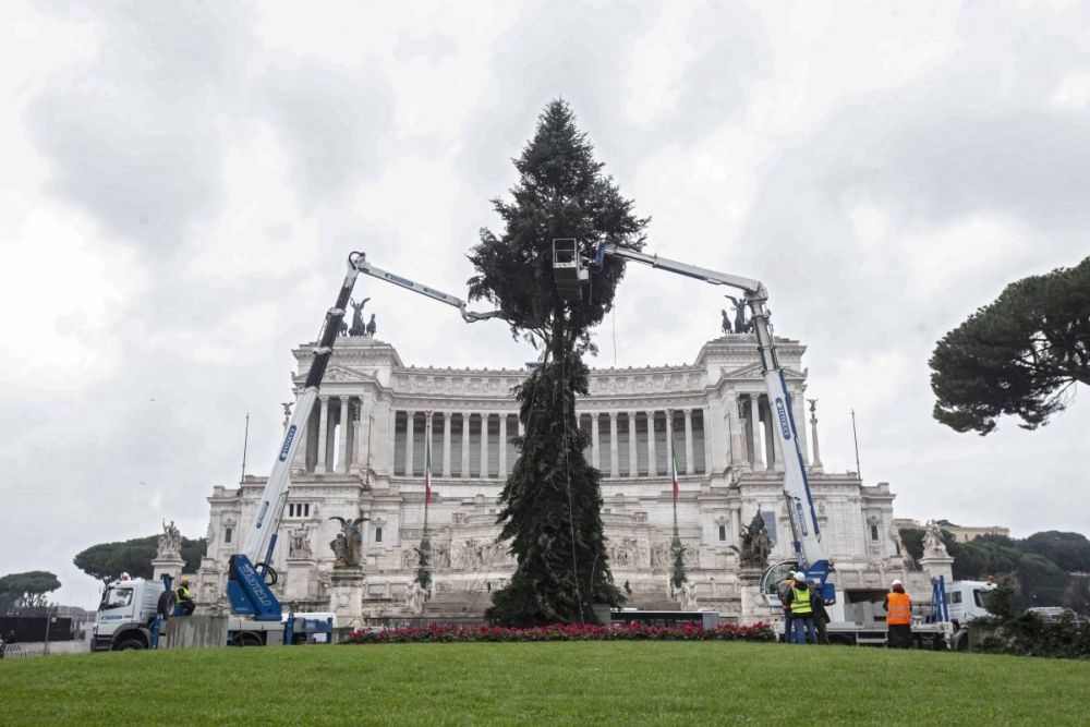 Spelacchio diventa #Spezzacchio: ironia sul nuovo albero di Natale a Roma