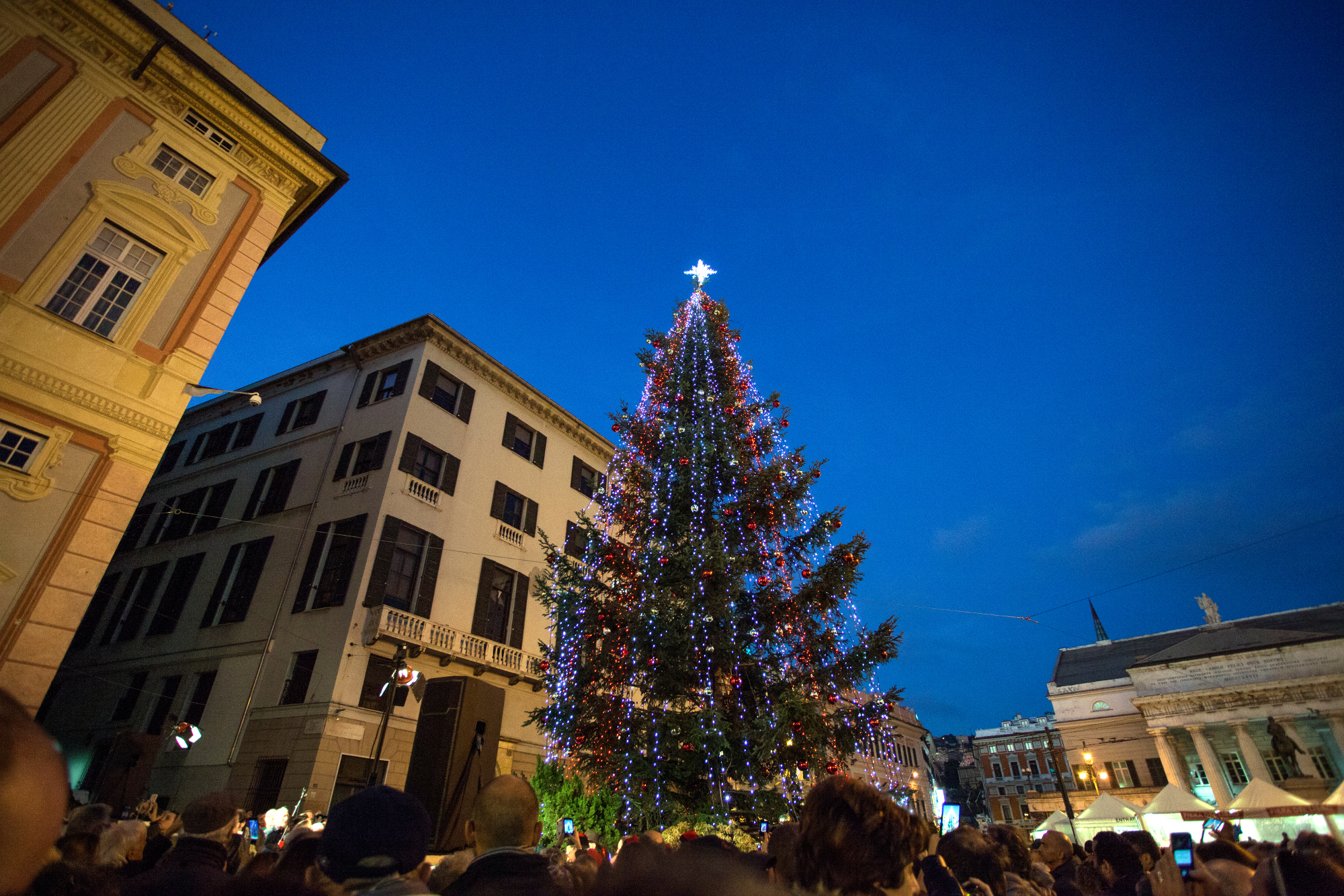 Natale a Genova con 10 alberi e il tunnel di luce più lungo d'Europa