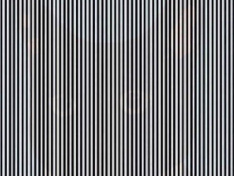 C'è un animale nascosto in questa illusione ottica: qual è?