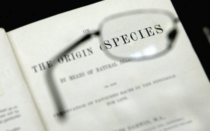 L'origine delle Specie di Darwin: teoria e riassunto