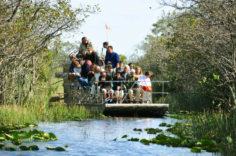 Everglades di Miami: come arrivare e cosa fare