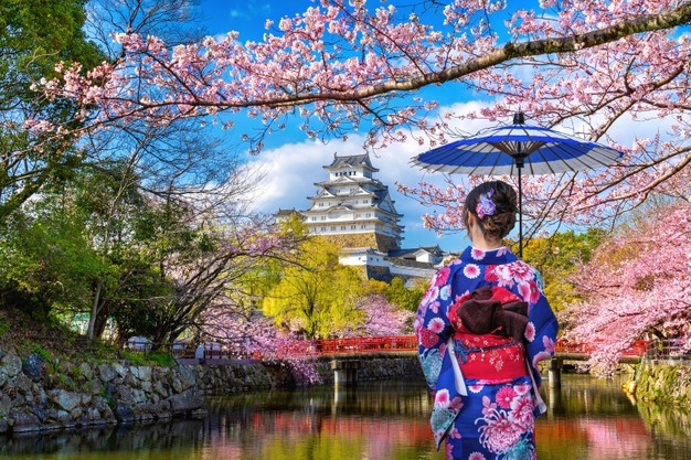 Tour del Giappone: cosa vedere in 15 giorni