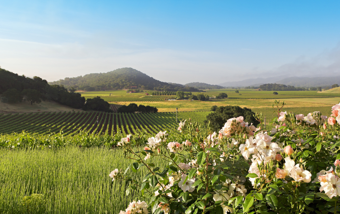 Dove andare in vacanza a giugno?