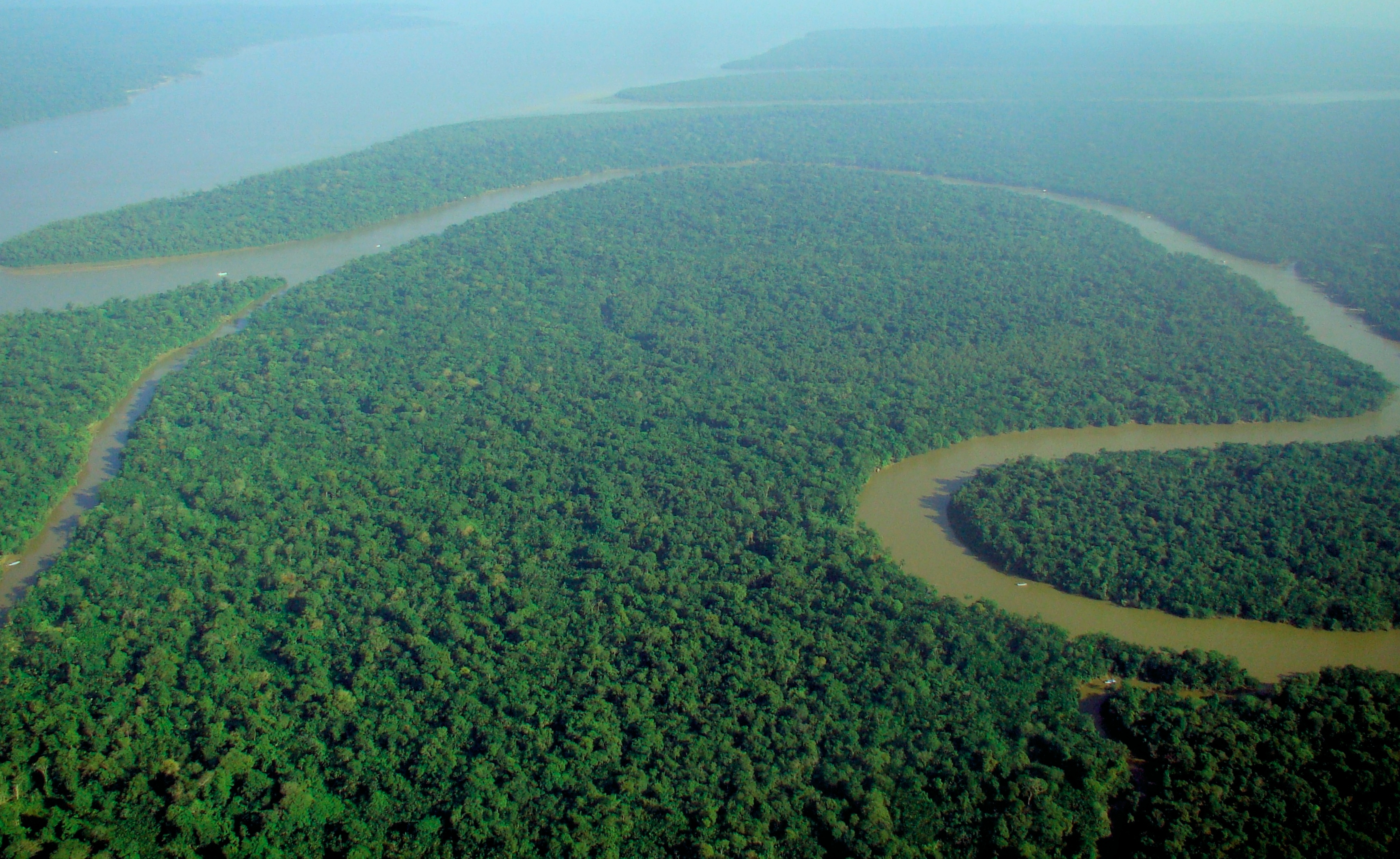 Incendio in Amazzonia: cause, cosa succede, conseguenze