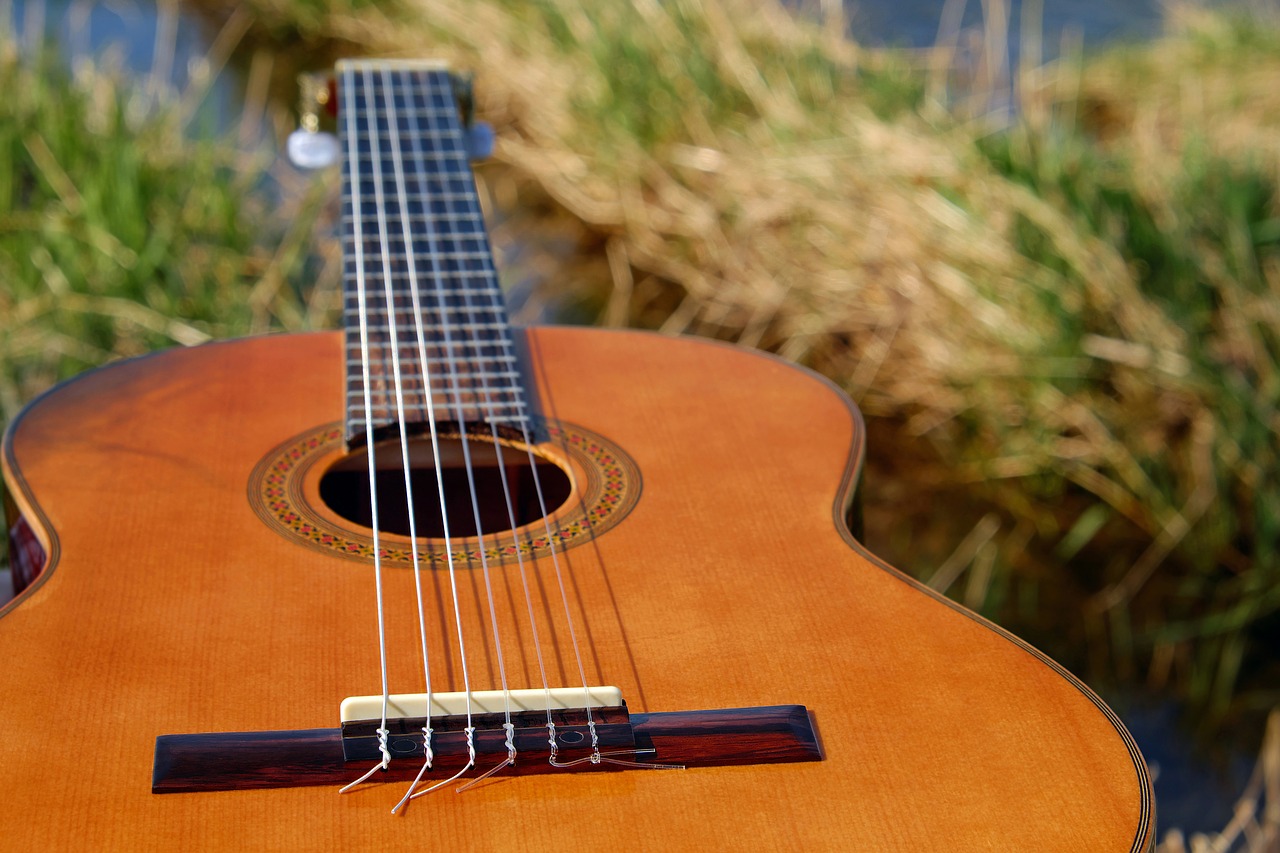 Corso di chitarra: classica, elettrica o acustica?