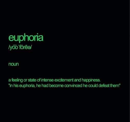 Euphoria di Greta Menchi: testo e significato