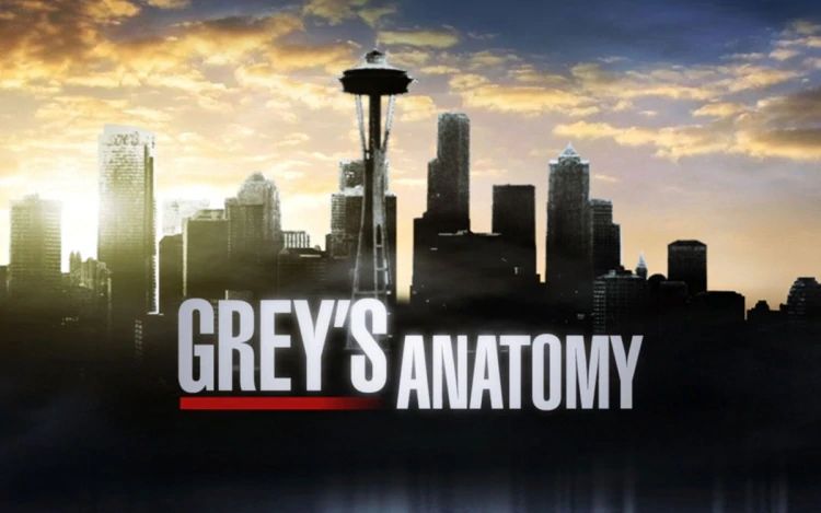 Grey’s Anatomy 16: trama episodio 12