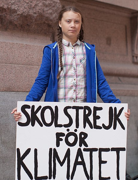 Greta Thunberg: che fine ha fatto la giovane paladina dell'ambiente?
