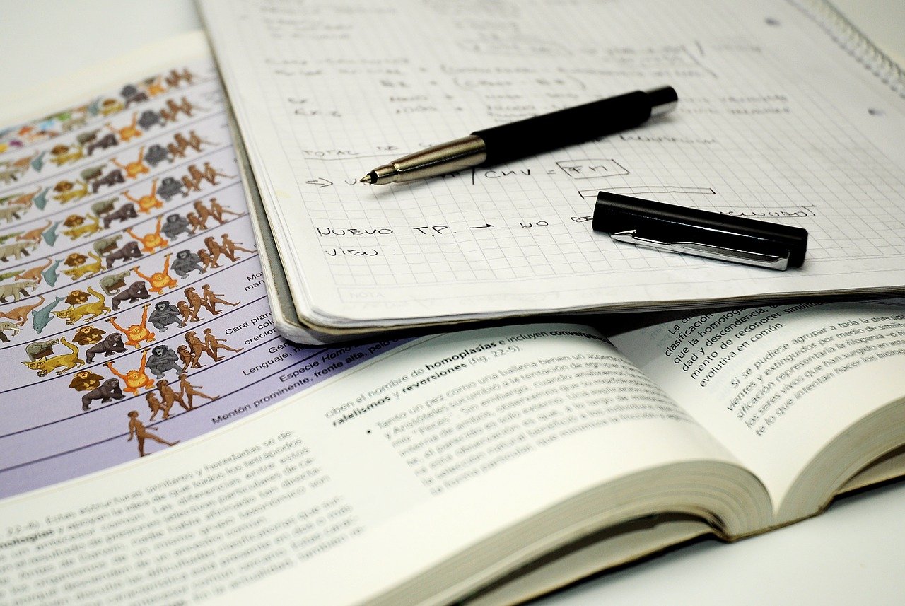 Maturità 2024: dove e quando vedere i quadri e gli esiti finali