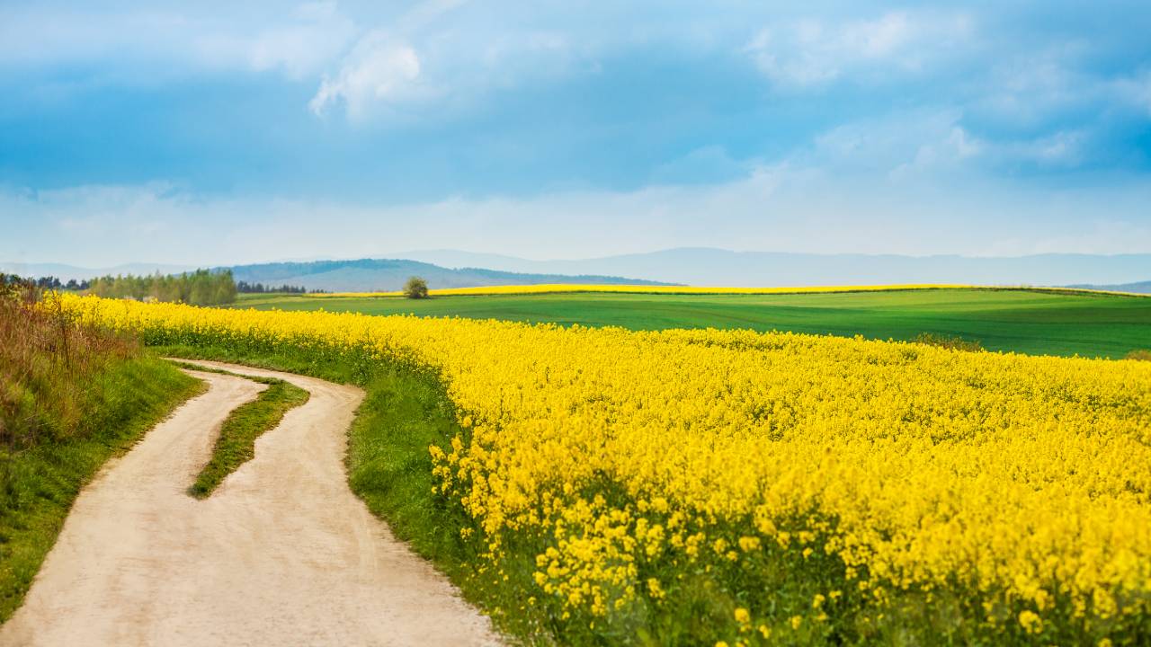 5 poesie sulla primavera di poeti famosi