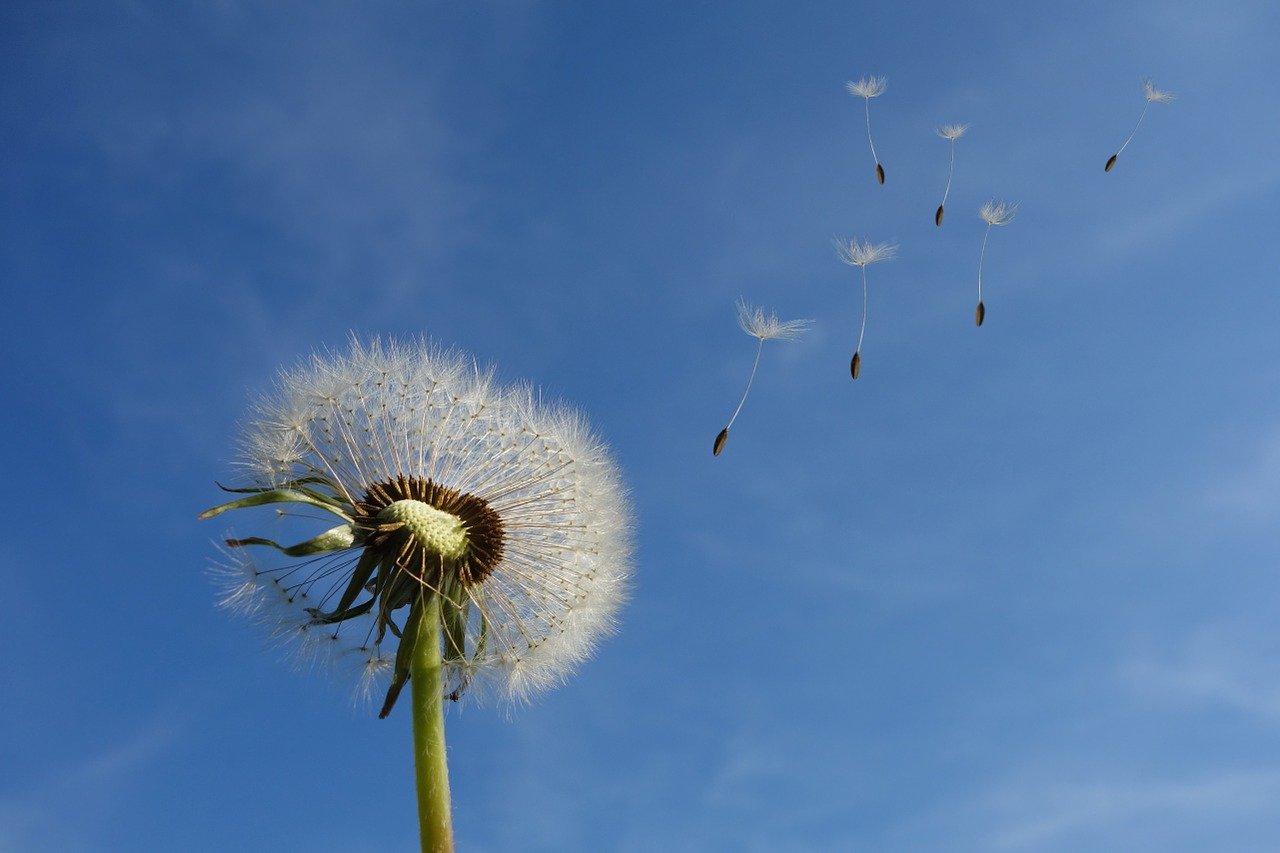 Primavera, significato simbolico ed etimologico