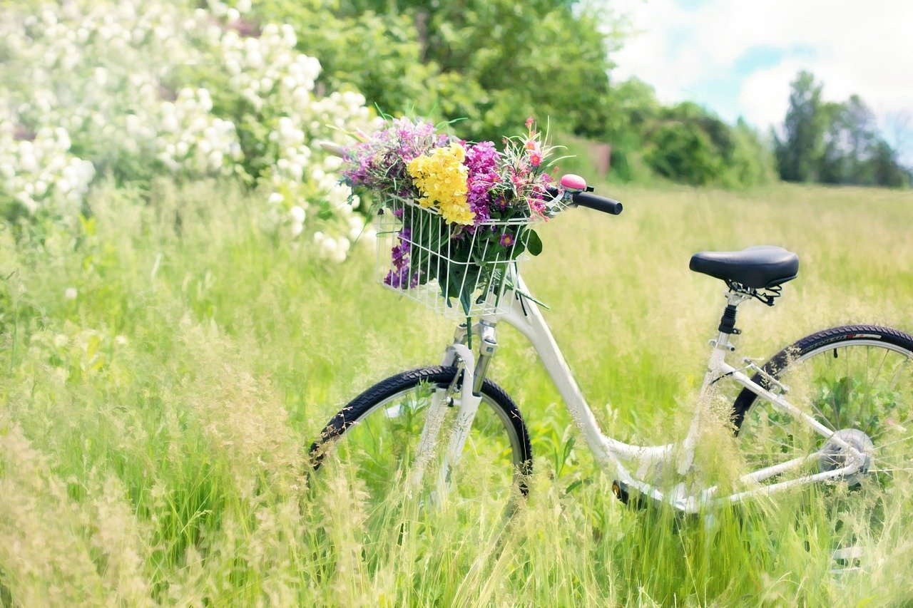 Curiosità sulla bicicletta: 12 cose che non sai sulla bici