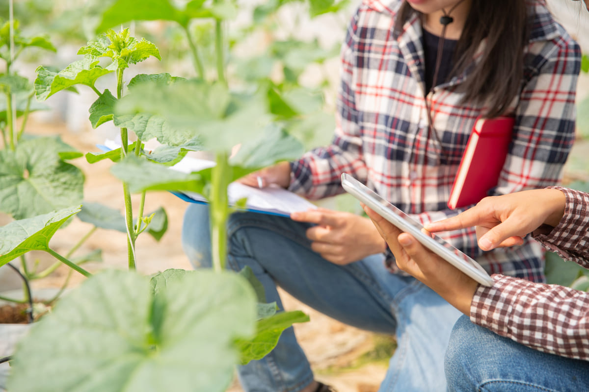 Laurea in Agraria Online: corsi, materie e costi