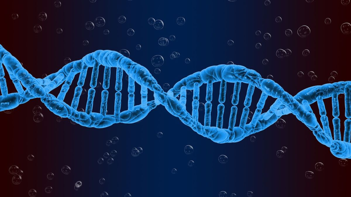 Scienze Biologiche: gli Sbocchi Lavorativi previsti per i laureati