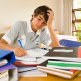 Calendario Anno Scolastico 2025/2026 Marche