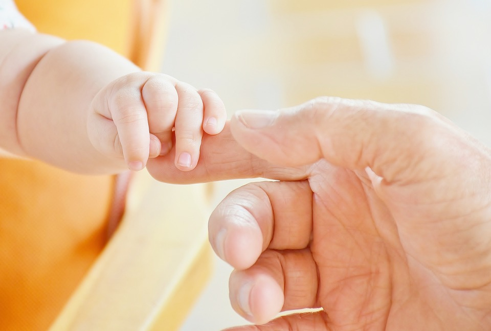 Festa del papà annullata in un asilo: 