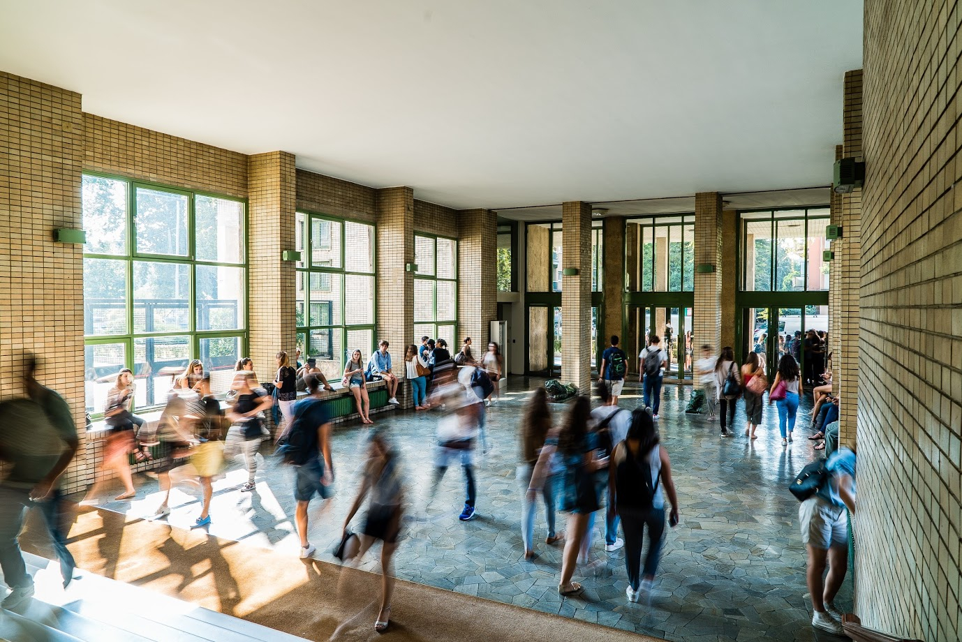 Università Bocconi: Corsi di Laurea, Master, Recensioni e Costi